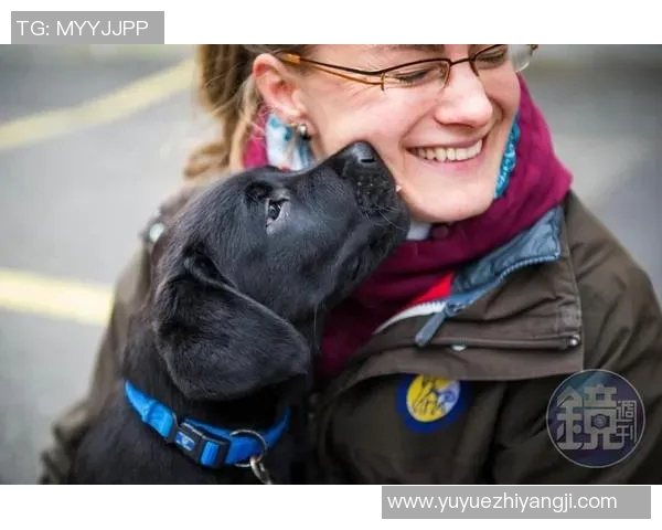 吴娜独家分享羽毛球技巧与心得助你提升竞技水平与乐趣 吴娜独家分享羽毛球技巧与心得助你提升竞技水平与乐趣