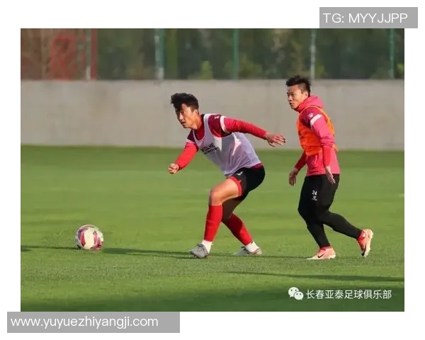 成都网球队反击战术深度解析与实战应用探讨 成都网球队反击战术深度解析与实战应用探讨