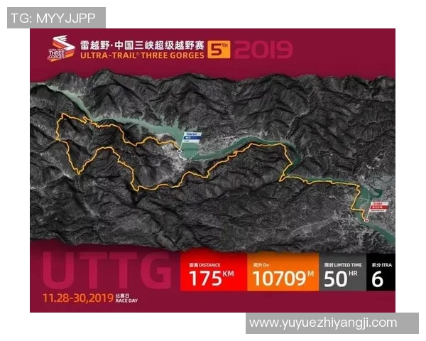 杭州羽毛球队冠军赛战术分析与表现评估全景回顾