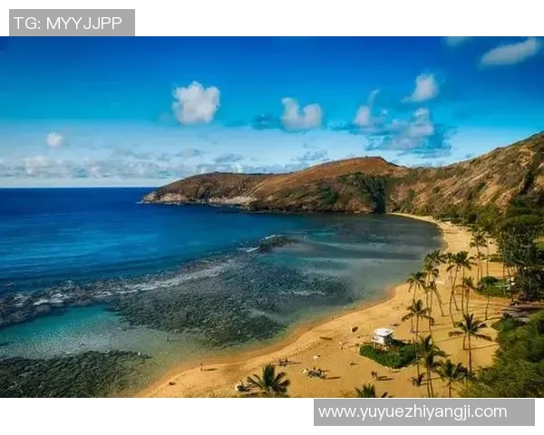 足球明星藏文名字翻译揭秘让你了解他们的文化背景与个性魅力