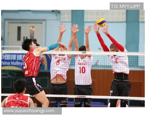 专业解读：北京排球队的运营打法