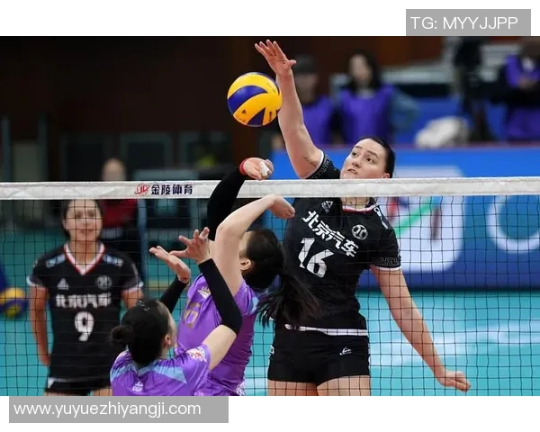 排球纪实：记录北京排球队的逆袭之旅