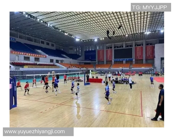 2026排球比赛经验排行榜：深圳排球队位居第2名